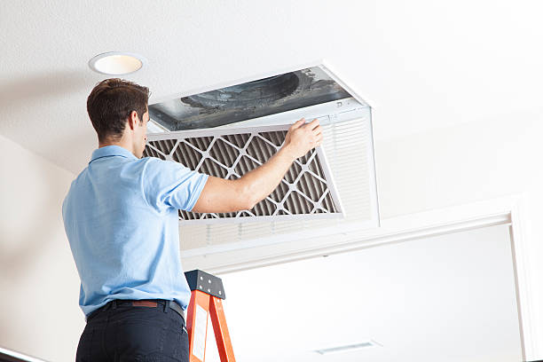 Best Best HVAC companies  in Braska City, NE